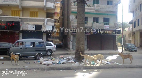 اليوم السابع -7 -2015